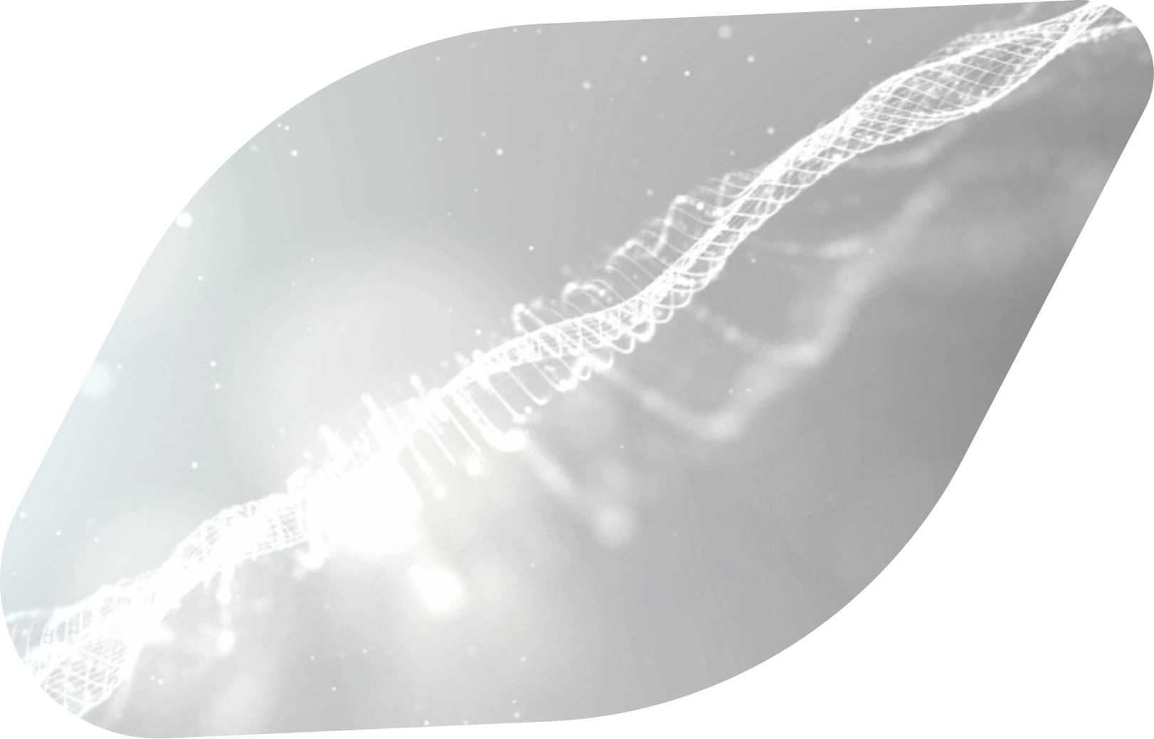 home page banner image